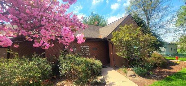 Landisville Animal Hospital