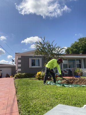 It’s Something Different