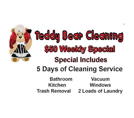 Teddy Bear Cleaning