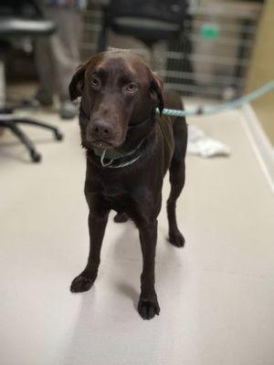 G W Young's Plumbing