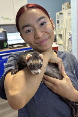 Fur-Ever Friends Animal Hospital