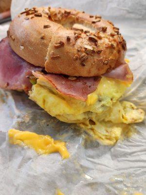 Bagel Nation
