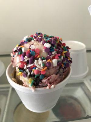 Raspberry chocolate chip with sprinkles/mini marshmallows- delicious and reasonable price! We'll be back.