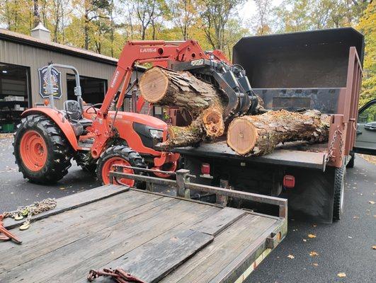 Life & Limb Tree Care