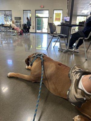 Les Schwab Tire Center