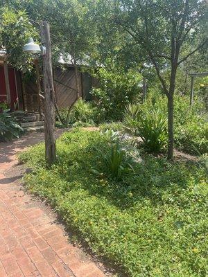 Beautiful landscaping.