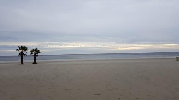 Sea Breeze Condo Association