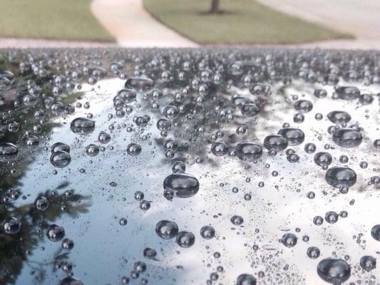 Water beefs from protection on the paint