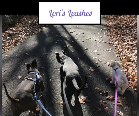 Lori's Leashes