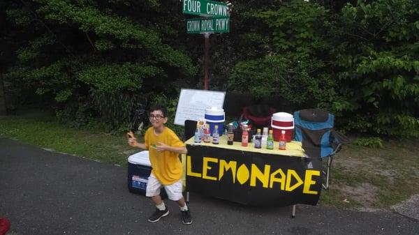 Two Bros Lemonade Stand