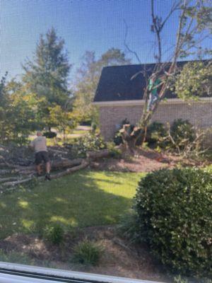 Complete Tree Service