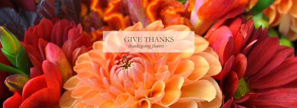 Whitley's Florist & Flower Delivery