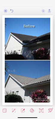No Pressure Roof Cleaning