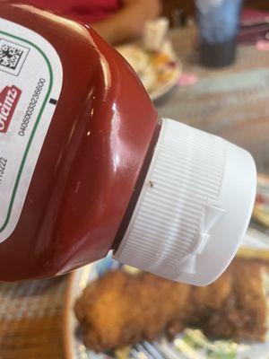 Dead ant on the Ketchup