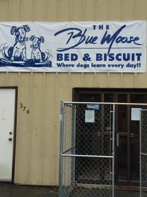 Entrance to the Blue Moose Bed & Biscuit.