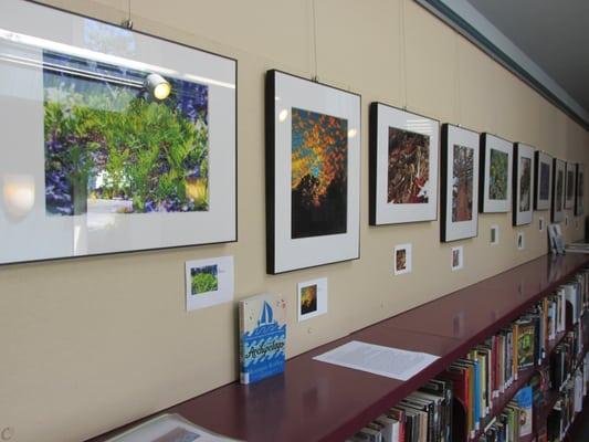 Thomas Memorial Library