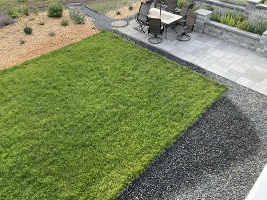 Oregon Turf & Tree Farm