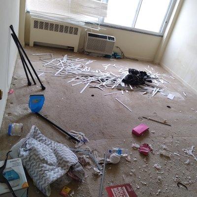 A bedroom infested with MICE debris, vacuumed, swept, potpourri and shampooed.