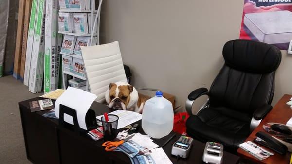 Willis NEVER stops working for you!