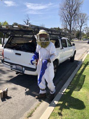 All Bee Removal