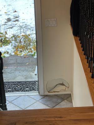 The Hard Body Haulers Corporation