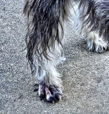 Bayside Animal Hospital