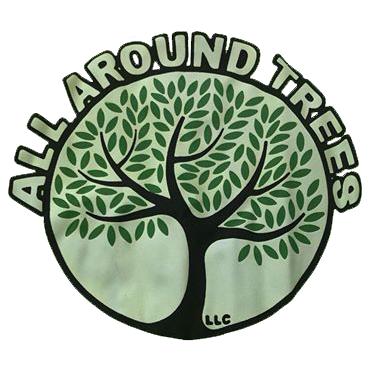 All Around Trees