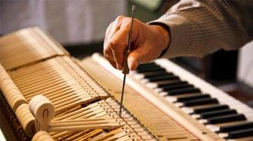 Regulation and Repair