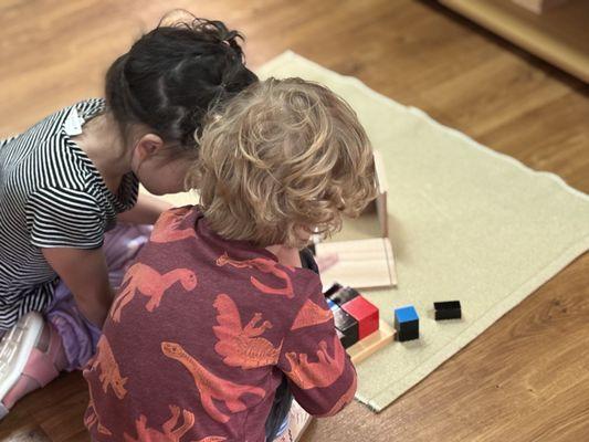 Wood Violet Montessori
