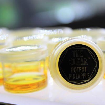 THE CLEAR CONCENTRATES