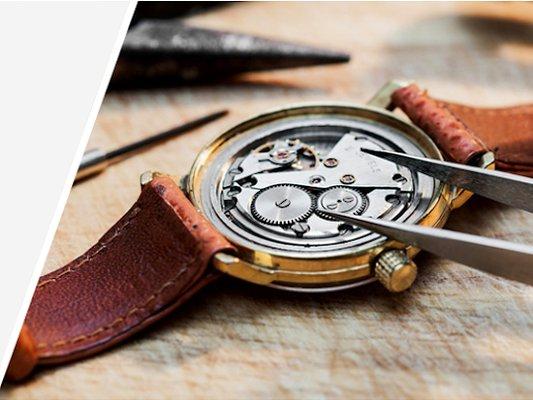 Bering Watches