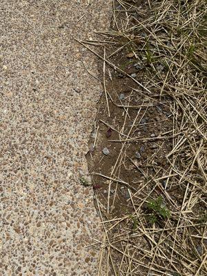 Madewell Concrete - Nashville