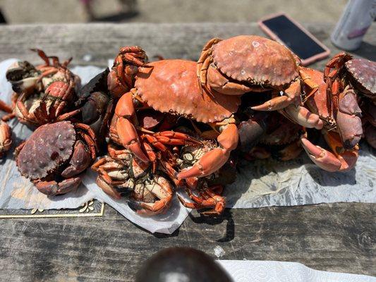 Our catch - Boiled and grilled.