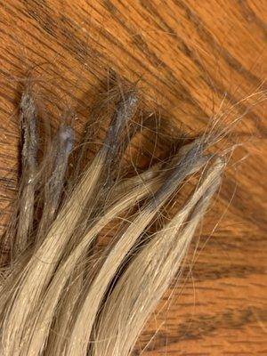 These are all the extensions I lost because they fell out.