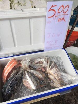 Hung Hang Seafood Market