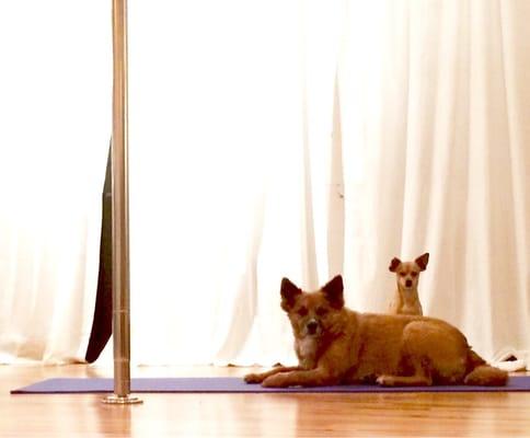 Our trusty spotters!