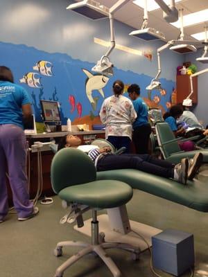 Young Smiles Dentistry For Kids