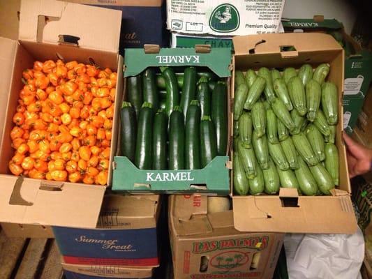 Orange Habanero and Squash Italian and Mexican