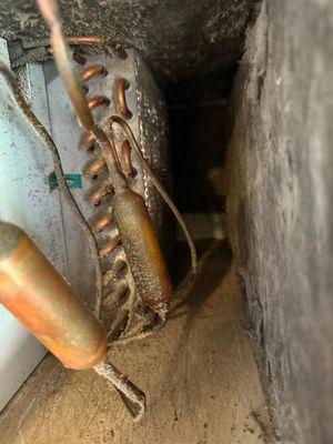 Subzero & Wolf Appliance Services