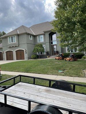 Murray's Lawn And Tree