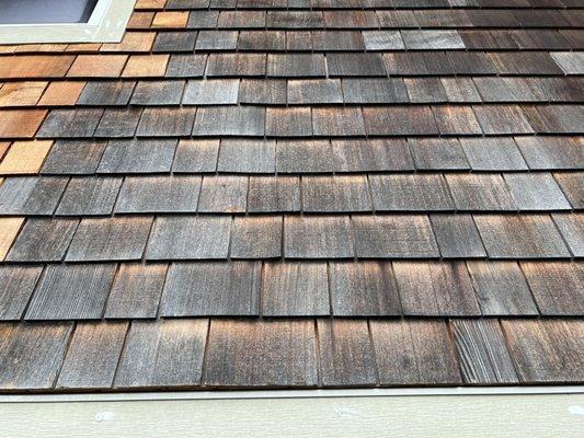 Sea Mist Maintenance