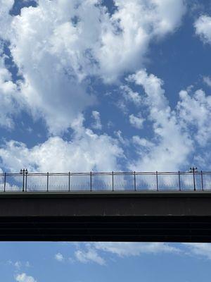 High Bridge Dog Park