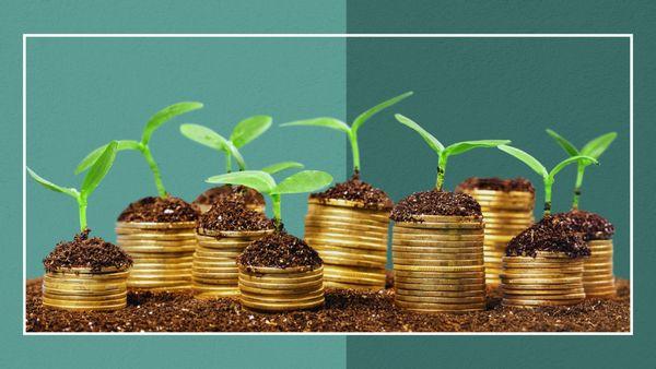 Erin Armstrong-Business Advisor & CFO