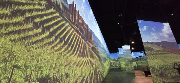 In Pour Taste comedy wine tasting