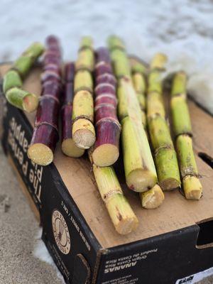 Fresh sugarcane, sugarcanejuice