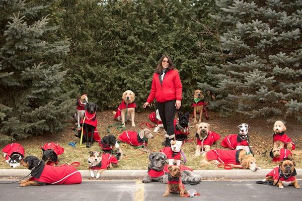 Surrounded by GREAT dogs.