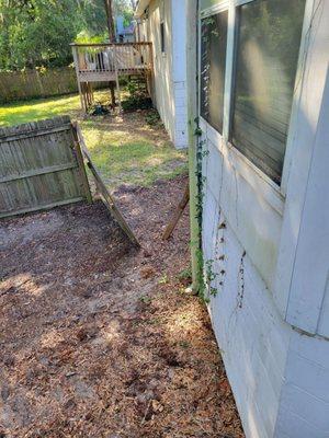 Florida's Tree Surgeons