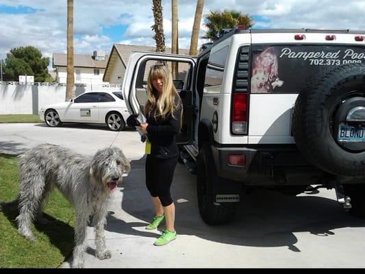 Brandie- owner of Pampered Pooches.
