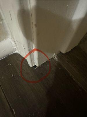 Wehner Renovations And Repairs