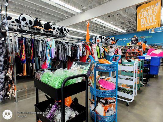 Brand New Halloween Items | Packaged Accessories & Costumes | Items May Vary Based on Supply | Photo as of October 5, 2025